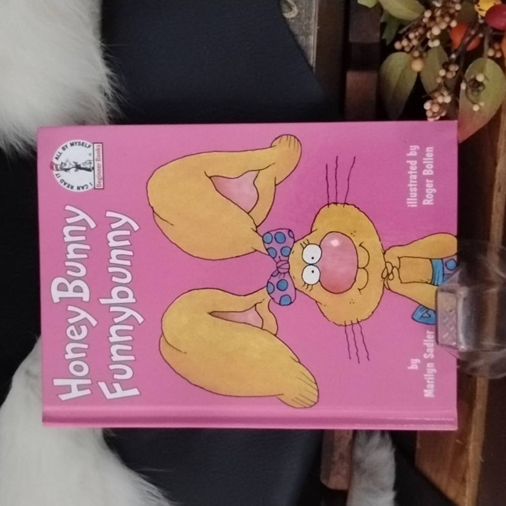 Honey Bunny Funnybunny Children's Book